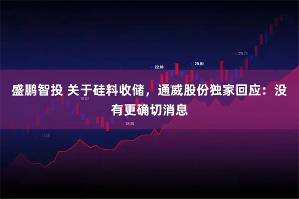 盛鹏智投 关于硅料收储，通威股份独家回应：没有更确切消息